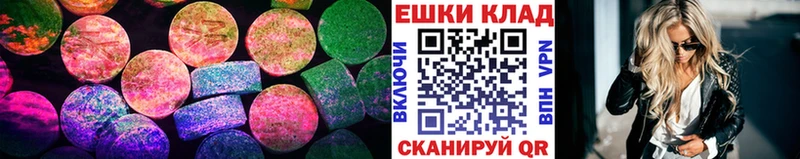 купить   Шилка  Экстази Philipp Plein 