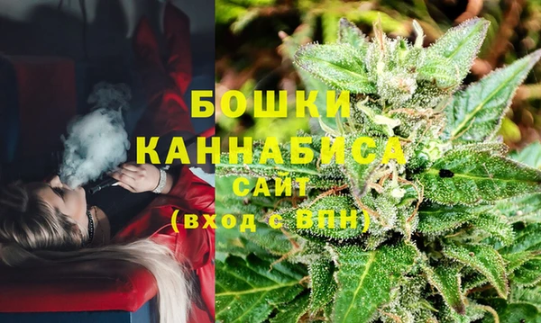 трава Покачи
