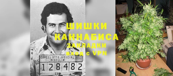 трава Покачи