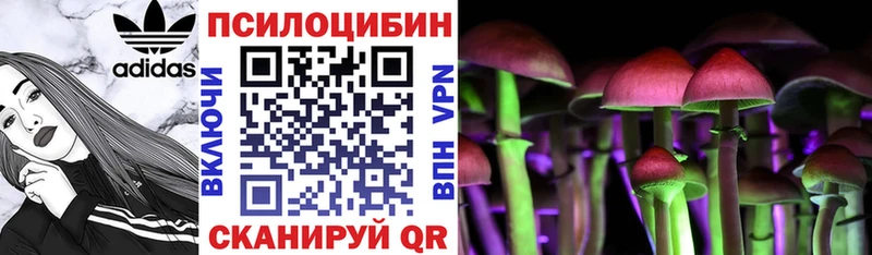 Псилоцибиновые грибы Magic Shrooms  Шилка 
